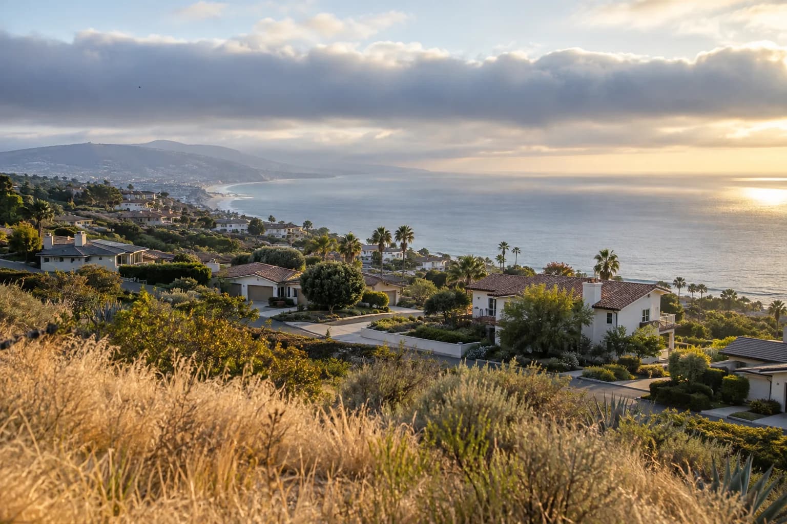 Illustration of a Southern California coastal neighborhood beneath marine clouds, with dry grasses and sunlit homes.