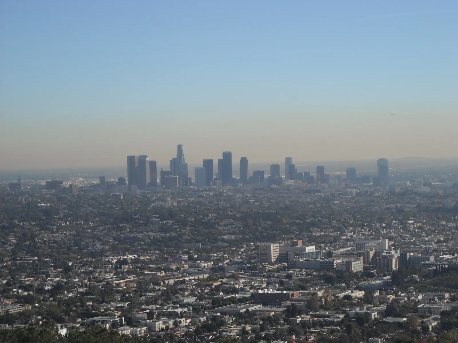 Restoration services in Los Angeles, Los Angeles County