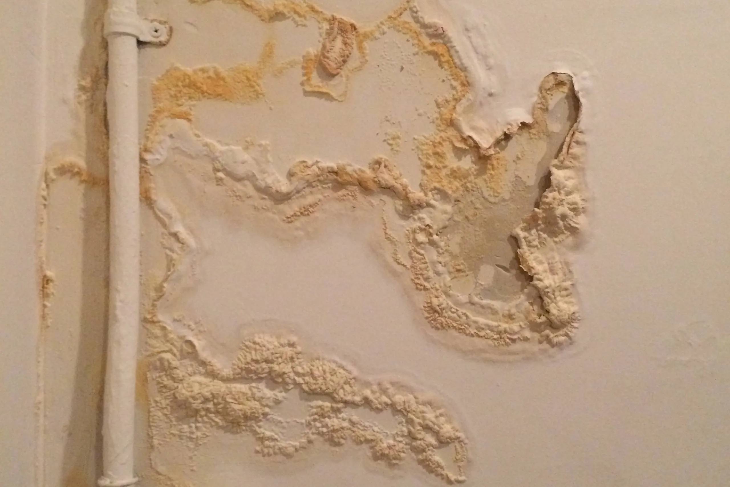 How To Prevent Mold Growth After Water Damage In Your Home