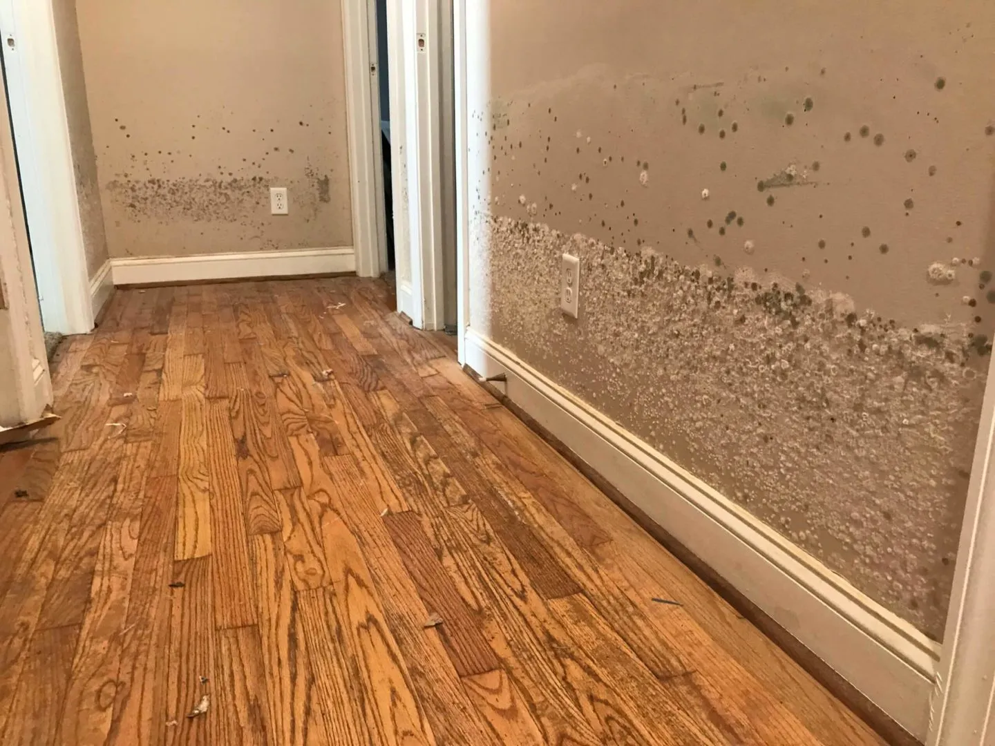 Office Building Water Damage: Protecting Electronics and Documents